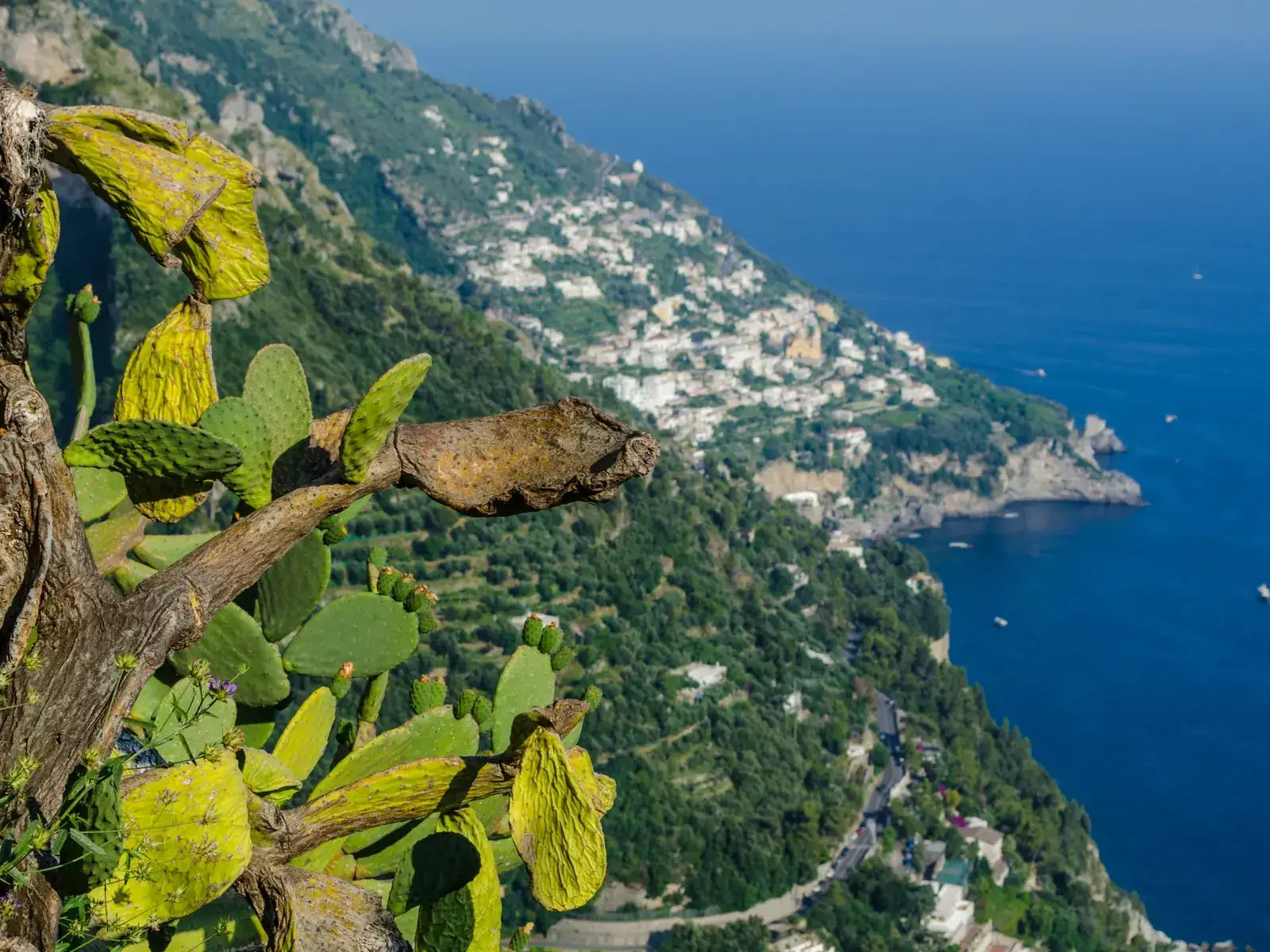 The coast seen from a mountain path
